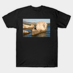 Evening Light T-Shirt